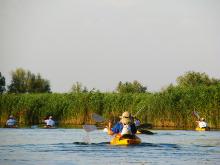 img_3164.jpg